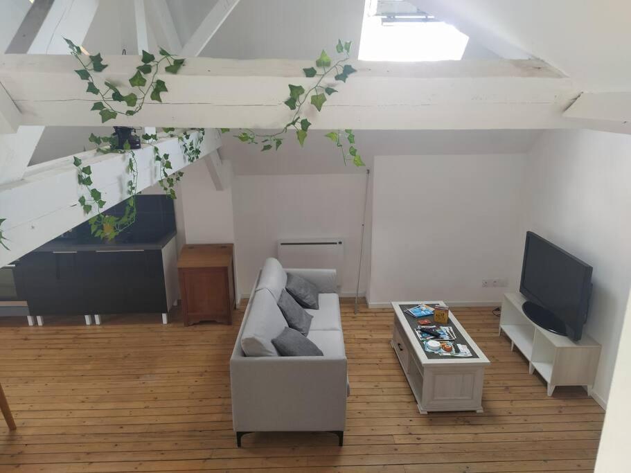 Le Loft De La Place Du Marche Appartement